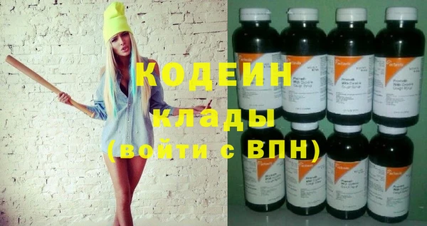 mdpv Вяземский