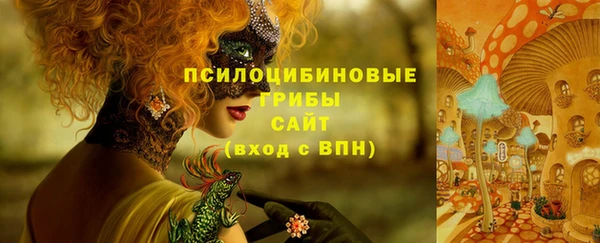 mdpv Вяземский