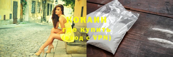 mdpv Вяземский