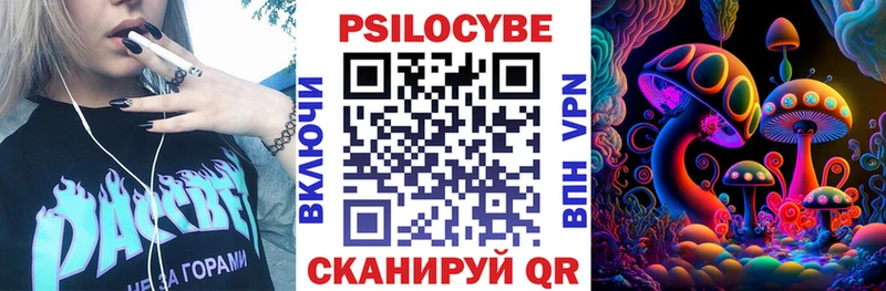 дарнет шоп  Гусиноозёрск  площадка как зайти  Псилоцибиновые грибы Psilocybe 